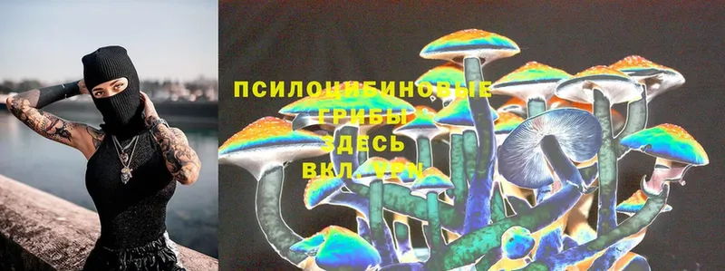 Галлюциногенные грибы Psilocybe  МЕГА ссылка  Каргополь 